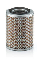 Mann Filter C 17 134