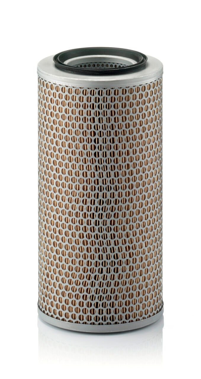 Mann Filter C 17 250