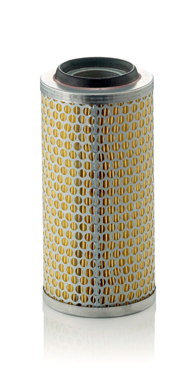 Mann Filter C 1176/4