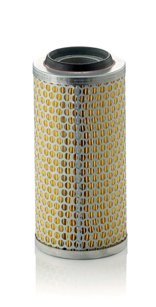 Mann Filter C 1176/4